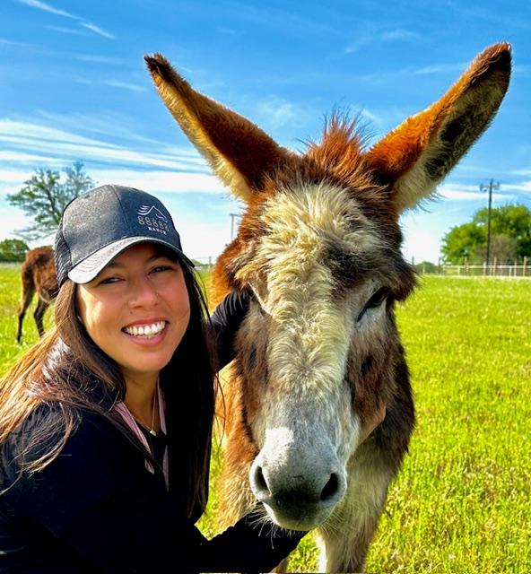 Highland cow portrait